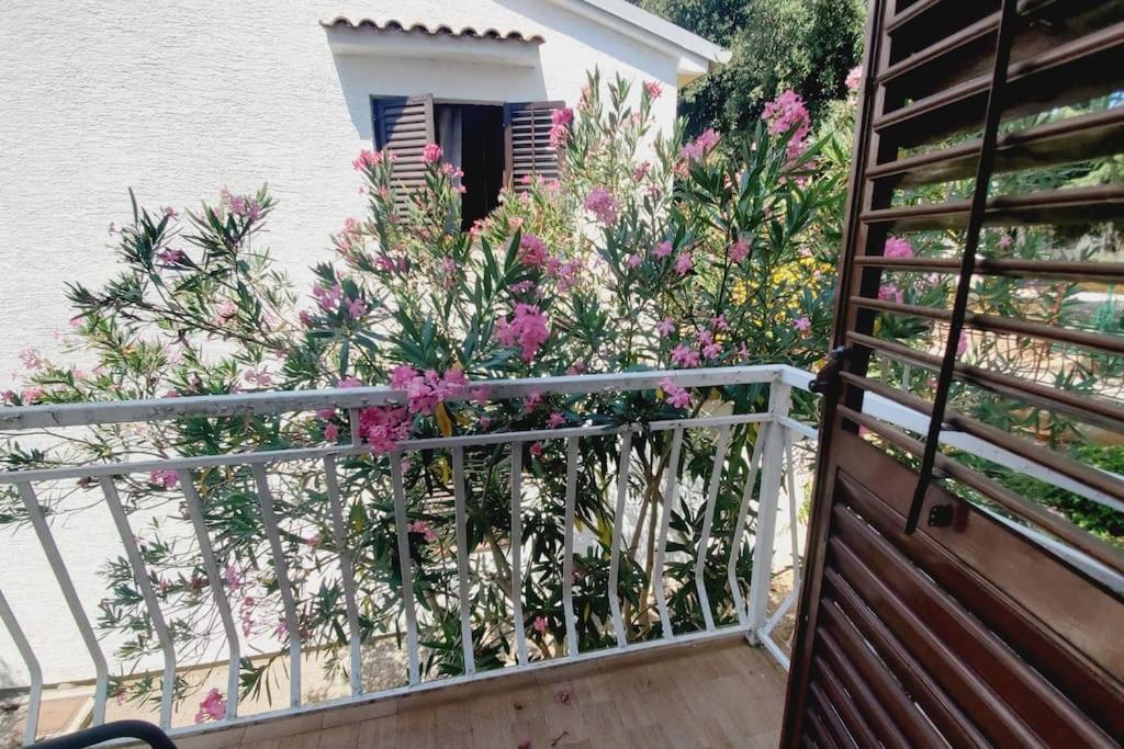 Casa Blanca, Biograd Na Moru Leilighet Eksteriør bilde
